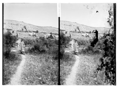 Road to Jericho, Jordan, etc. Ruins of Crusader sugar mills LOC matpc.10578