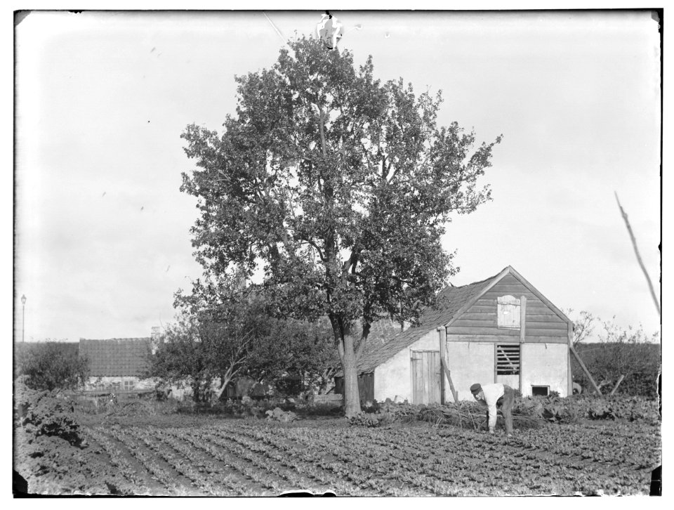 Ringdijk bij nr 47 Jacob Olie (max res)