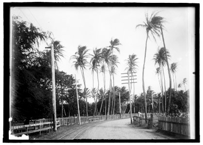 Road to Waikiki, Honolulu LCCN2016821274