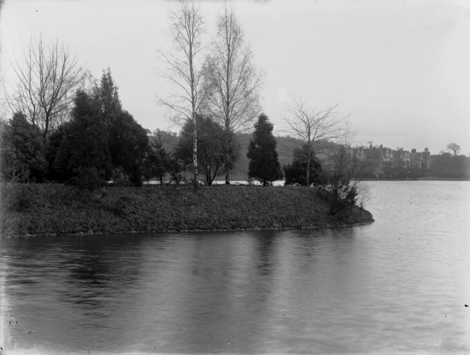 Roath Park & Houses (4786046)