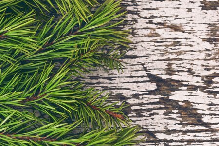 Vintage christmas background celebration