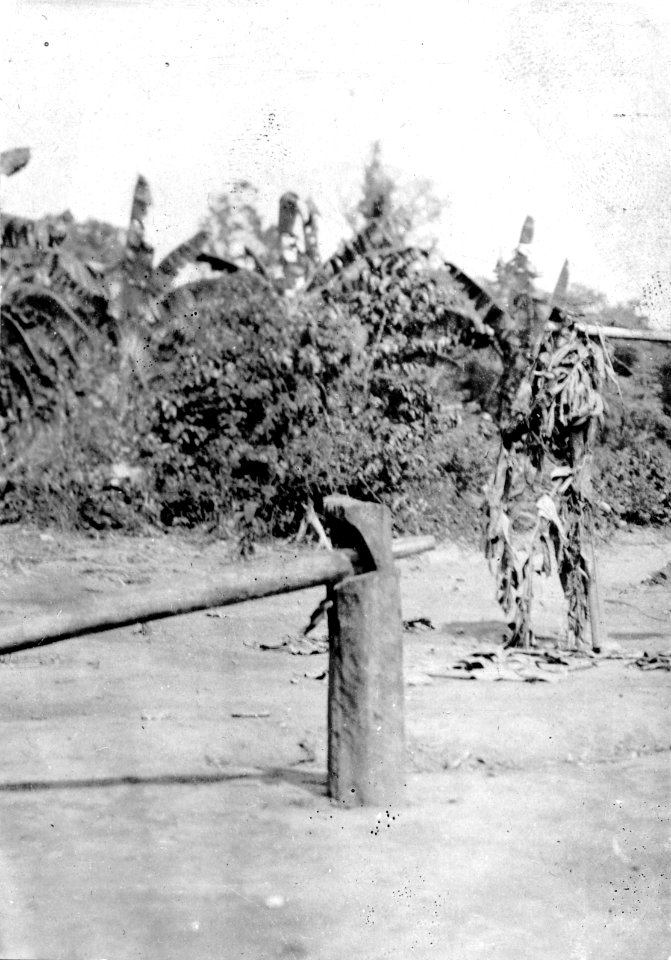Rio Madidi, Bolivia. Sockerrörspress. Rio Madidi - SMVK - 005548