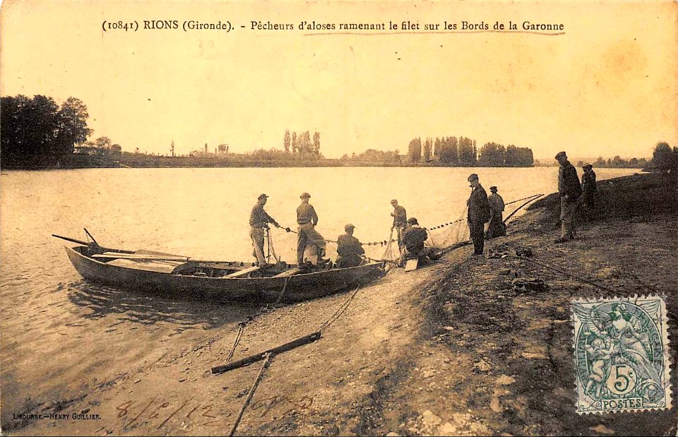 Rions - pêcheurs d'aloses