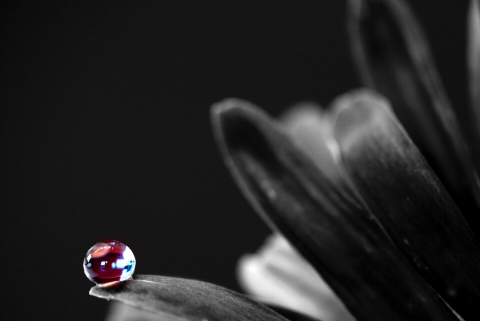 Macro drop of water mirroring