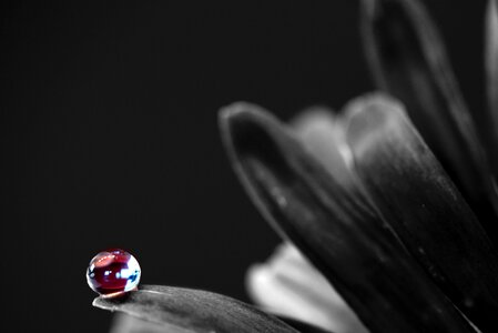 Macro drop of water mirroring