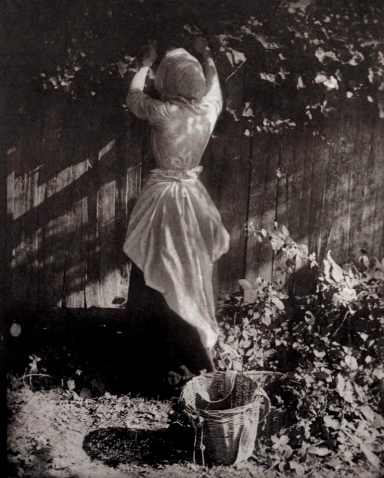 Robinson, Henry Peach - Das Starennest (Zeno Fotografie)