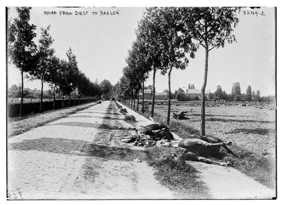 Road from Diest to Haelen LCCN2014697633
