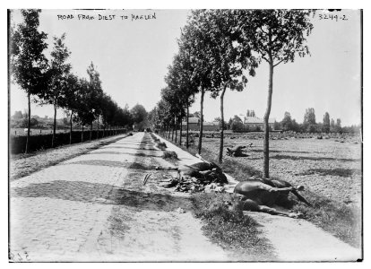 Road from Diest to Haelen LCCN2014697633