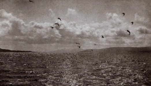 Robinson, Henry Peach - »Im Kilbernnan Ton« (Zeno Fotografie)