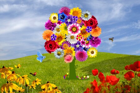 Spring summer flower blossom
