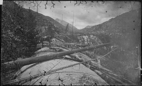 Roches Moutonees, near foot of the Mount of the Holy Cross. Looking up the valley. Eagle County, Colorado. - NARA - 517028