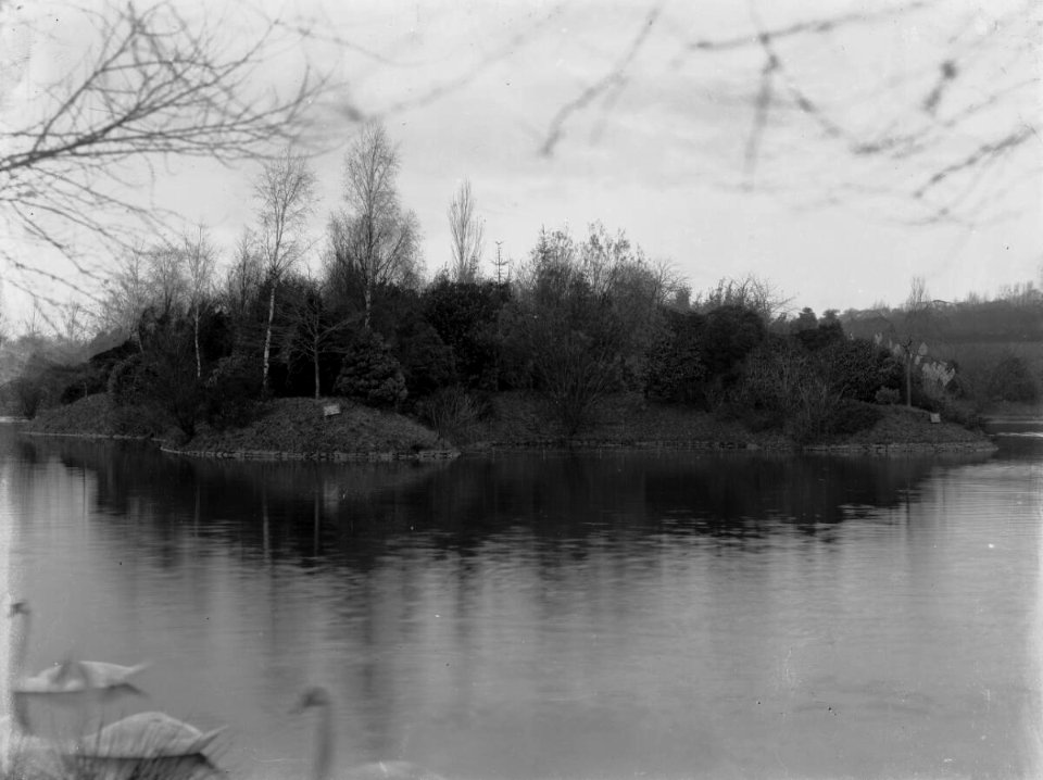 Roath Lake with Island (4641611)