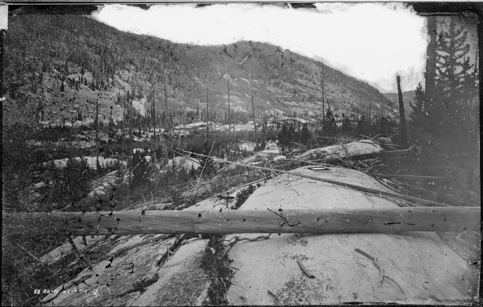 Roches Moutonees, near foot of the Mount of the Holy Cross, looking down the valley. Eagle County, Colorado. - NARA - 517030