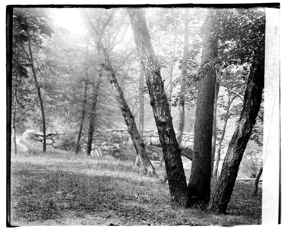 Rock Creek Park LOC npcc.00032