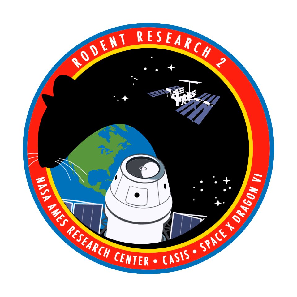Rodent Research-2 Mission Patch