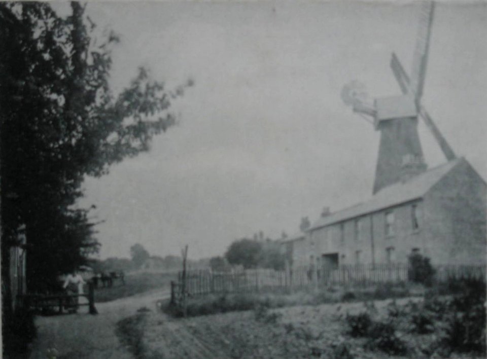 Rodmersham Green Windmill 1906 crop