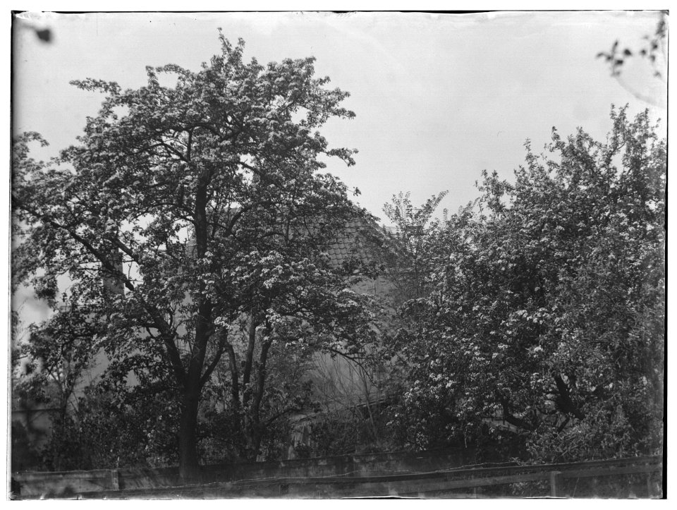 Roelof Hartstraat eo, foto 3 Jacob Olie (max res)