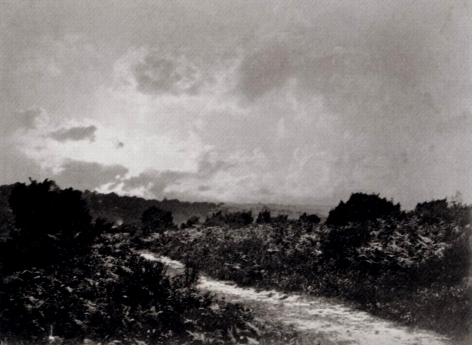 Robinson und Cherrill - Abend bei Culverden Down, die Tunbridge-Brunnen (Zeno Fotografie)