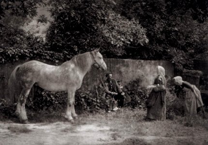 Robinson, Henry Peach - Alter Schimmel (Zeno Fotografie)