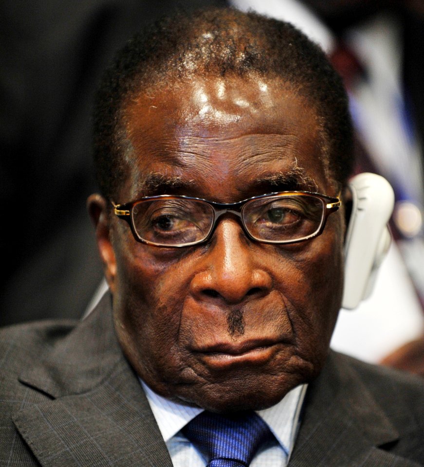 Robert Mugabe, 12th AU Summit, 090202-N-0506A-417 (cropped)