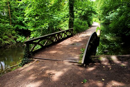 Green path nature photo