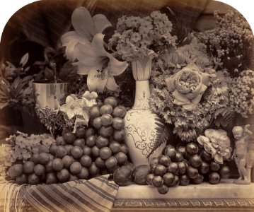 Roger Fenton Fruit and Flowers, 1860 Paul Mellon Fund