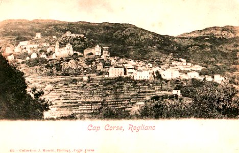 Rogliano Cap Corse vignoble et village photo