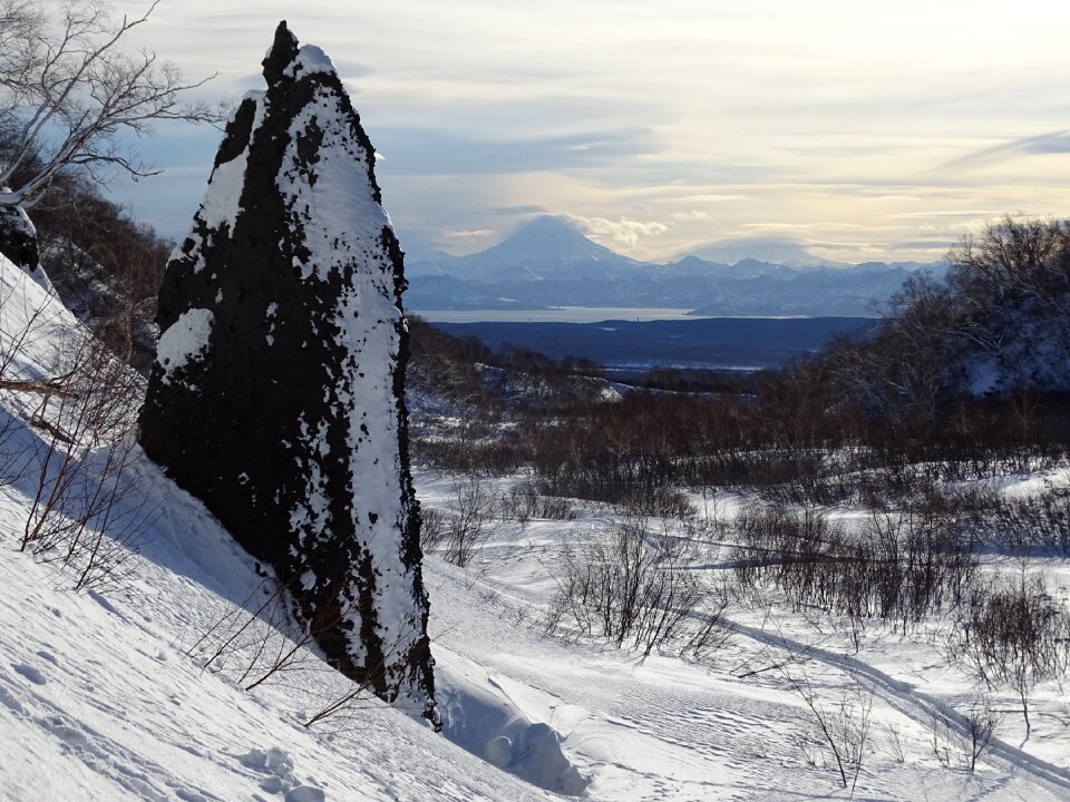 Snow winter coldly photo