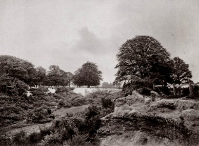 Robinson und Cherrill - Die Rusthalgegend, die Tunbridge-Brunnen (Zeno Fotografie)