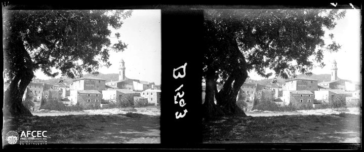 Roda de Barà, vista entre els arbres