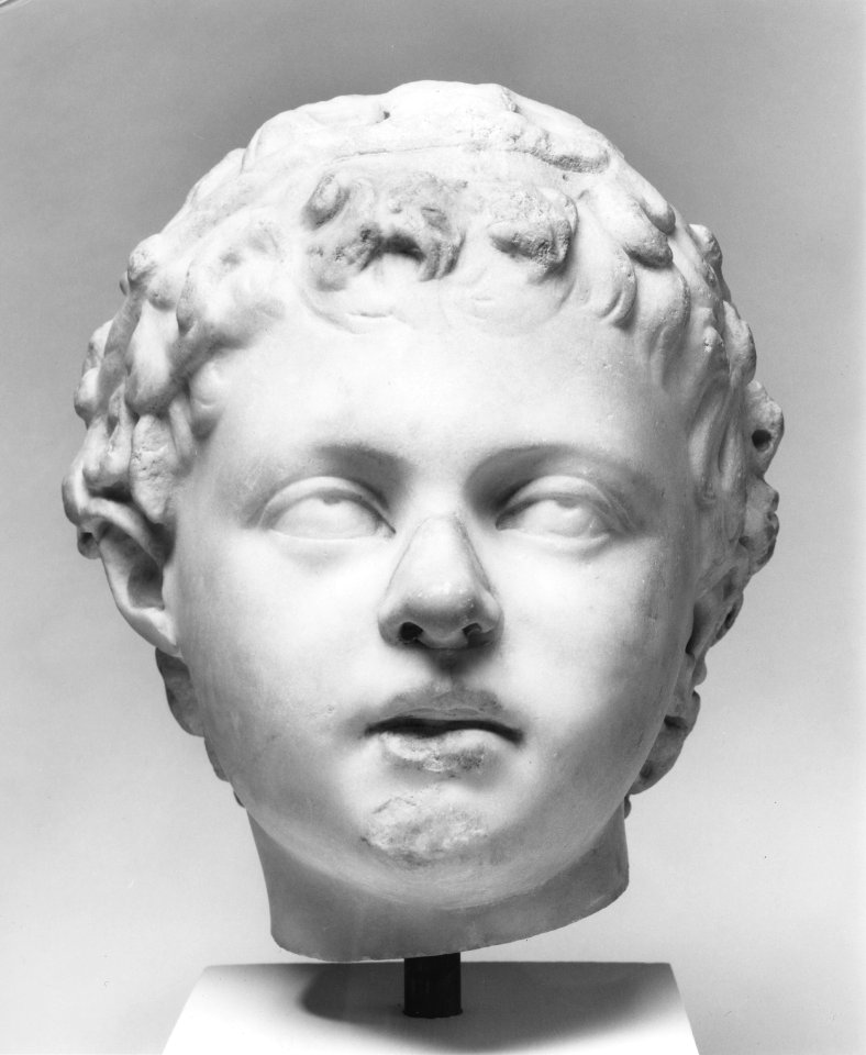 Roman - Head of a Satyr - Walters 23126