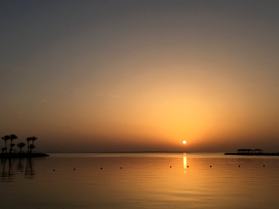 Egypt tiger garda sunrise
