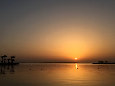 Egypt tiger garda sunrise