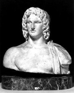 Roman - Bust of Alexander the Great - Walters 23121