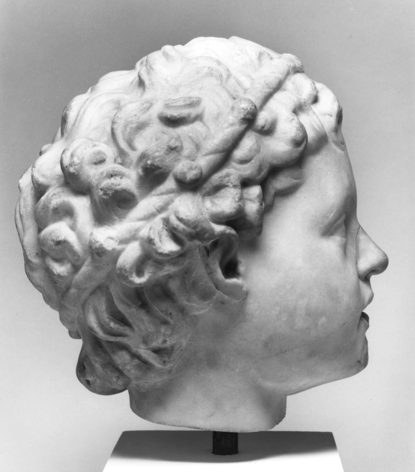 Roman - Head of a Satyr - Walters 23126 - Right