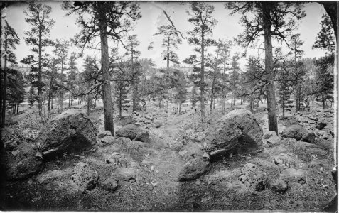 Rocky forest area. No original caption - NARA - 516965 photo