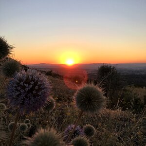 Sunset le coucher du soleil Free photos photo