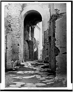 Rome. Palace of the Caesars LCCN92501342