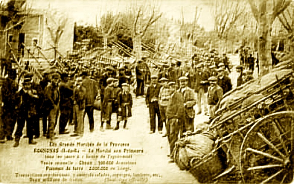 Rognonas Le Marché aux Primeurs