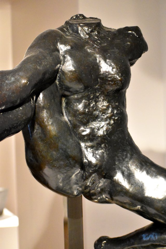 Rodin - Iris 02