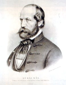 Rohn Portrait of Mór Jókai 1860 photo