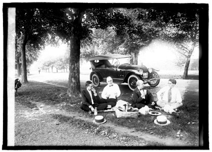 Ron D. Haynes roadside luncheon, 8-13-(...) LCCN2016822009