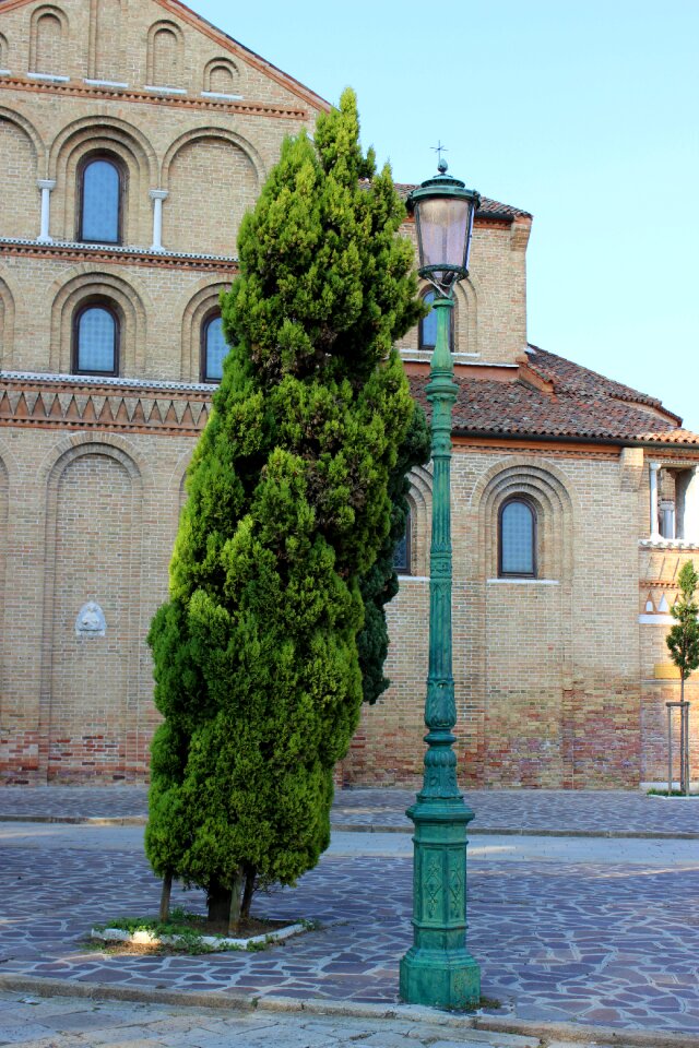 Street lamp tree road venice