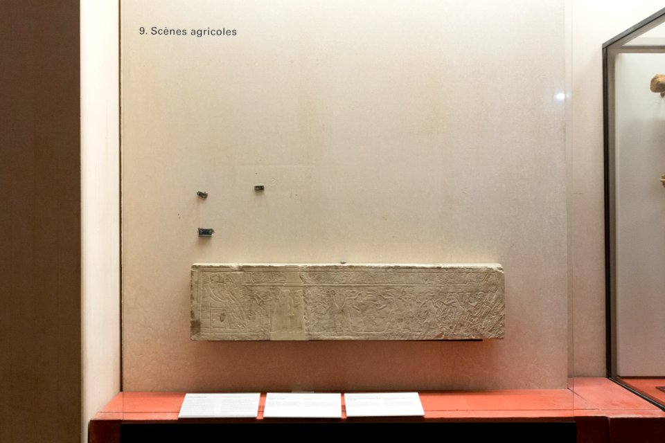 Room 333, display case 09