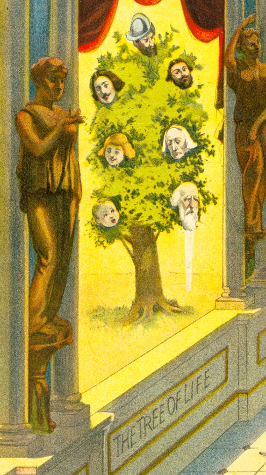 Roltair Illusion - Tree of life
