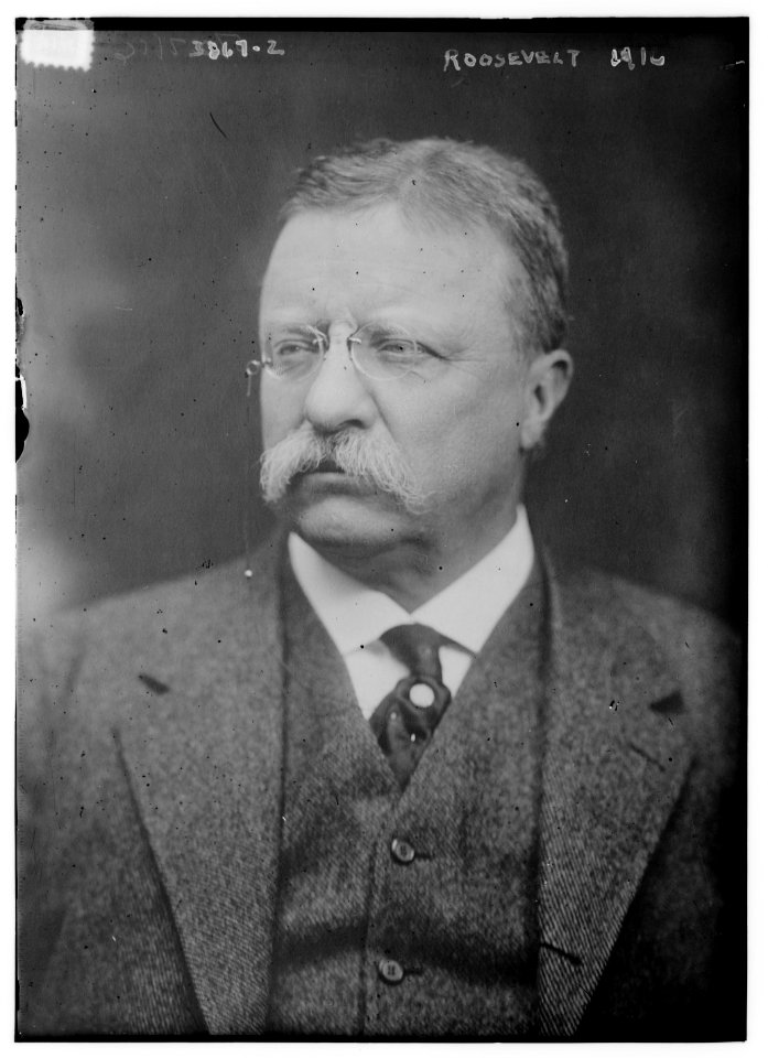 Roosevelt (i.e., Theodore Roosevelt) LCCN2014701763