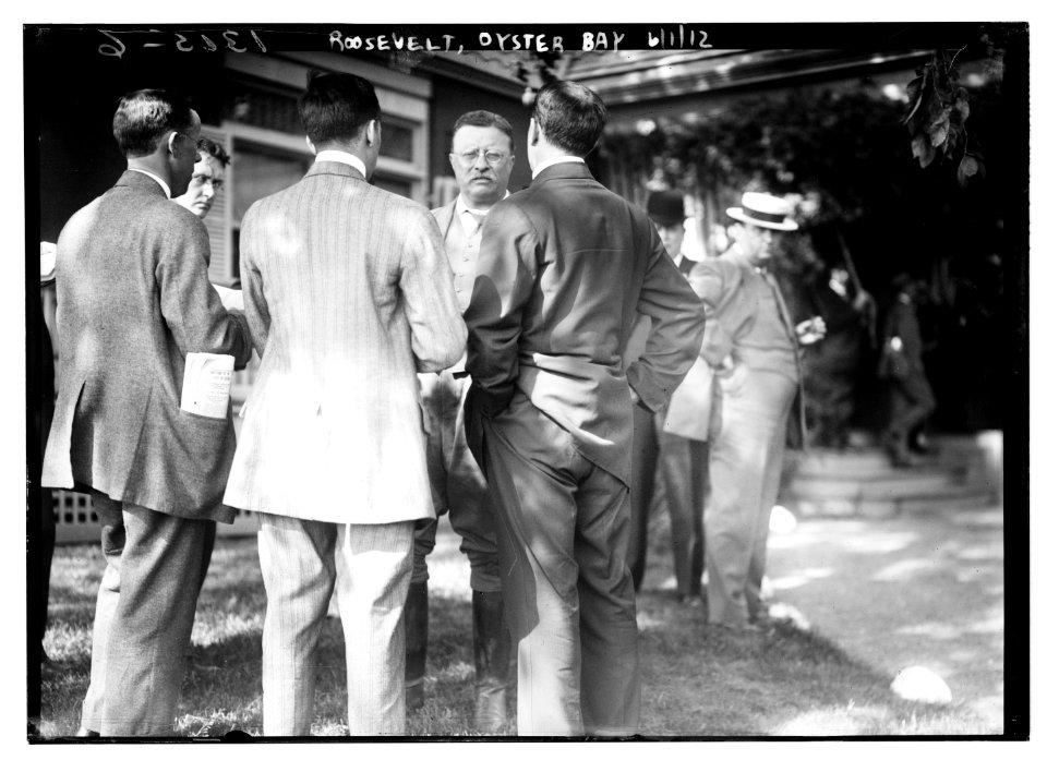 Roosevelt at Oyster Bay LCCN2014686889