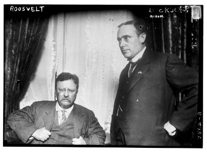 Roosevelt (and) Dixon LCCN2014692156