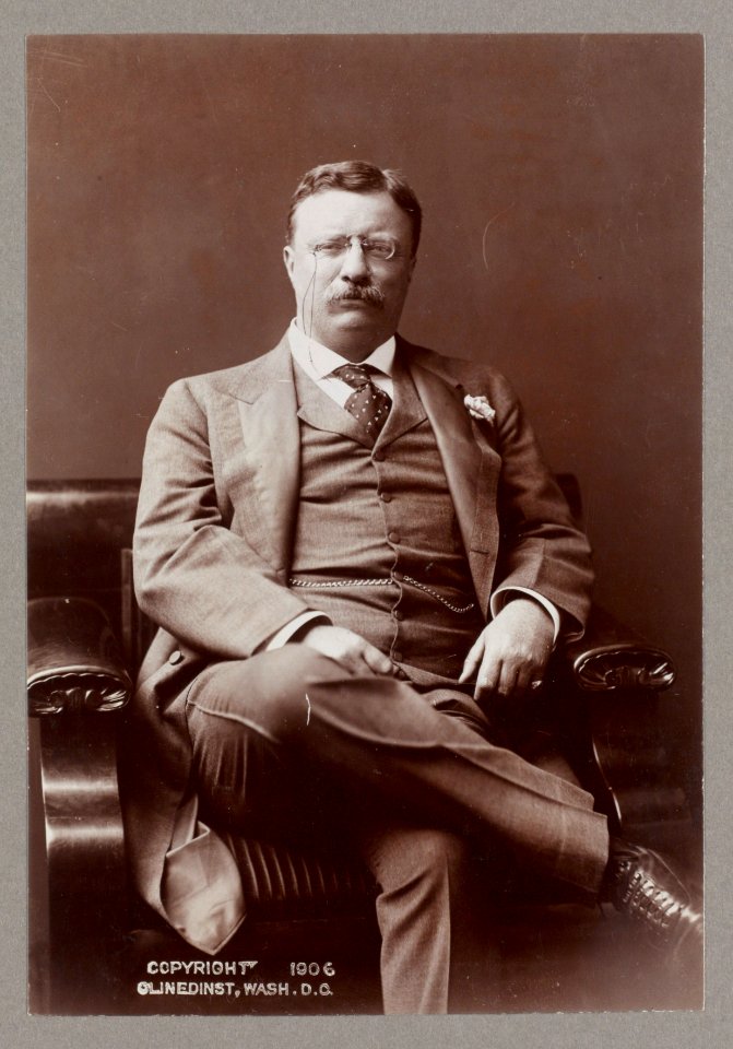 Roosevelt (President) LCCN2013649588