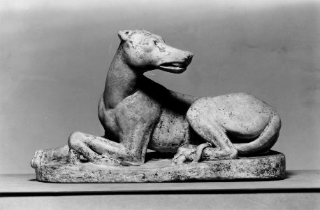 Roman - Dog - Walters 23193 - Side